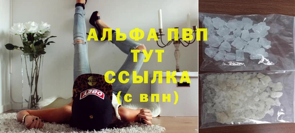 прущие крисы Балахна