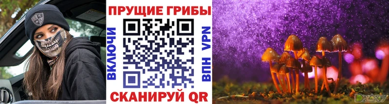 Галлюциногенные грибы Psilocybine cubensis  купить наркотики сайты  Верхотурье 